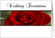 Colour Wedding Invitation card