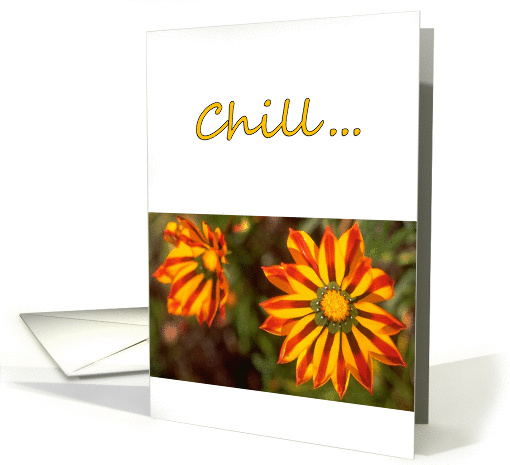 Just Chill! 1 card (303594)