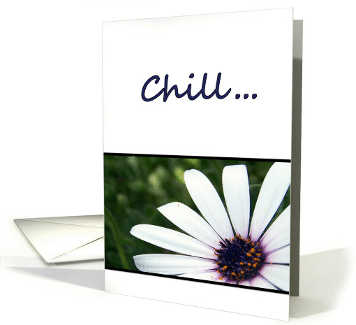 Just Chill! 3 card (303600)