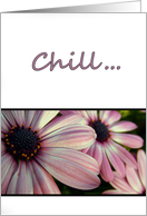 Just Chill! 5 card