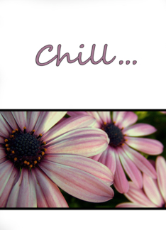 Just Chill! 5