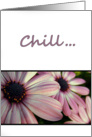 Just Chill! 5 card
