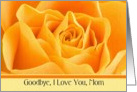 To Mom - Goodbye from a Terminally ill Adult Child card