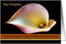 Step Daughter - Goodbye from a Terminally ill Step Parent card