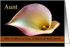Aunt - Goodbye from a Terminally ill Nephew or Niece card