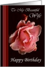 Wife / Birthday - General - Digital Oil Painted Pink Rose card