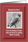 Snowbirds / Missing You - Bohemian Waxwing Bird card