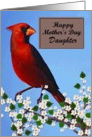 Daughter / Happy Mother’s Day - Painted Red Cardinal card
