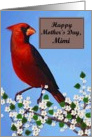 Mimi / Happy Mother’s Day - Painted Red Cardinal card