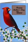 Niece / Happy Mother’s Day - Painted Red Cardinal card