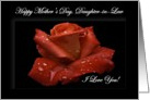 Daughter-in-Law / Happy Mother’s Day - Painted Red Rose card