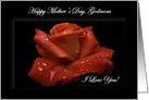 Godmom / Happy Mother’s Day - Painted Red Rose card