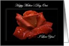 Omi / Happy Mother’s Day - Painted Red Rose card