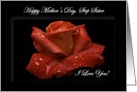 Step Sister / Happy Mother’s Day - Painted Red Rose card