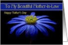 Mother-in-Law / Happy Mother’s Day - Painted Blue Daisy card
