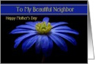 Neighbor / Happy Mother’s Day - Painted Blue Daisy card