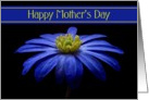 Happy Mother’s Day - General - Painted Blue Daisy card