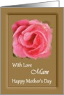 Mam / Mother’s Day - Painted Pink Rose card