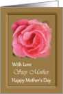 Step Mother / Mother’s Day - Painted Pink Rose card