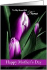 Nana / Happy Mother’s Day - Painted Purple Tulips card