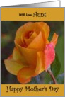 Aunt / Mother’s Day - Yellow Painted Rose card