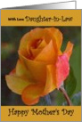 Daughter-in-Law / Mother’s Day - Yellow Painted Rose card