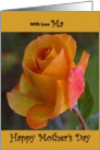 Ma / Mother’s Day - Yellow Painted Rose card