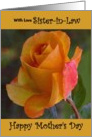 Sister-in-Law / Mother’s Day - Yellow Painted Rose card