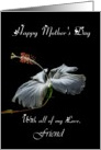 Friend / Happy Mother’s Day - Painted Hibiscus card