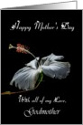 Godmother / Happy Mother’s Day - Painted Hibiscus card