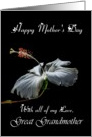 Great Grandmother / Happy Mother’s Day - Painted Hibiscus card