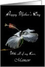 Mamaw / Happy Mother’s Day - Painted Hibiscus card