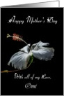 Omi / Happy Mother’s Day - Painted Hibiscus card