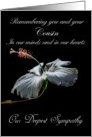 Cousin / Our Deepest Sympathy - Painted Hibiscus card