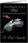 Dad / Our Deepest Sympathy - Painted Hibiscus card