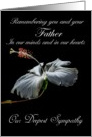 Father / Our Deepest Sympathy - Painted Hibiscus card