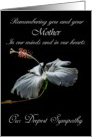 Mother - Our Deepest Sympathy - Painted Hibiscus card