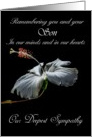 Son - Our Deepest Sympathy - Painted Hibiscus card