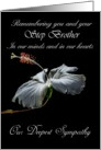 Step Brother - Our Deepest Sympathy - Painted Hibiscus card