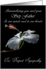 Step Father - Our Deepest Sympathy - Painted Hibiscus card