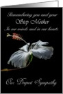 Step Mother - Our Deepest Sympathy - Painted Hibiscus card