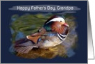 Grandpa -Happy Father’s Day - Digital Painted Mandarin Duck card