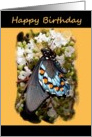 Birthday - General - Digital Oil Painted Swallowtail Butterfly card