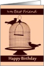 Best Friend / Happy Birthday - Birds Outside of their Cage card