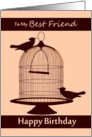 Best Friend / Happy Birthday - Birds Outside of their Cage card