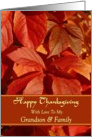 Grandson / Family - Happy Thanksgiving - Vibrant Fall Leaves card