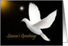 Season’s Greetings - General - White Dove card