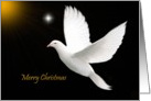 Merry Christmas - General - White Dove card