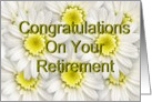 Congratulations on Your Retirement - White Daisies / Yellow Centers card