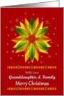 Granddaughter & Family / Merry Christmas - Snowflakes/Red Background card